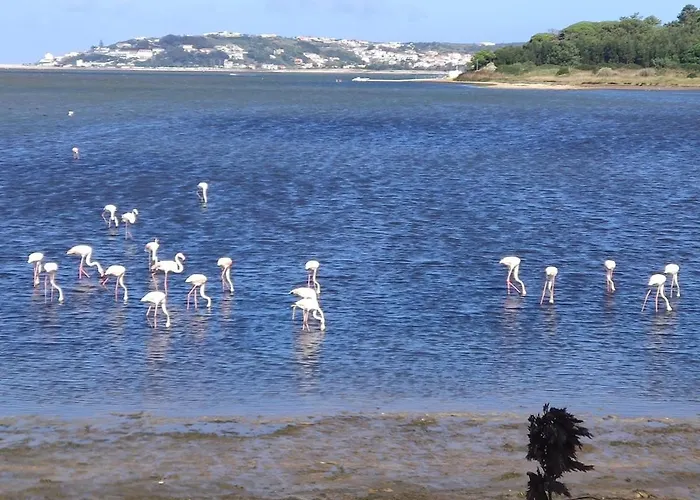 Feriehus Casa Da Annelies. Accessible *