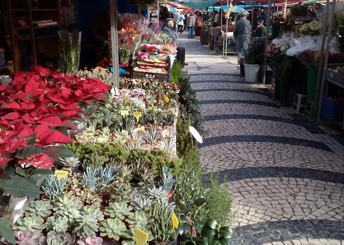 Casa Da Annelies. Accessible * Nadadouro